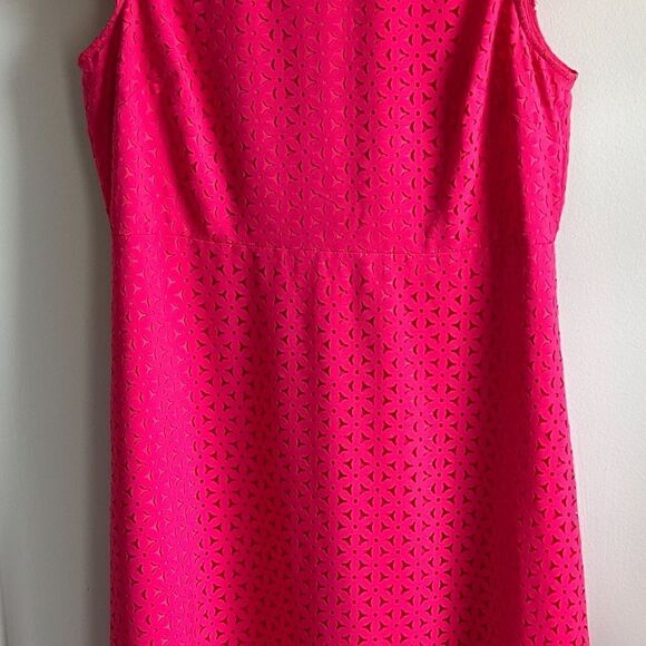 J.Crew Raspberry Laser Cut Out A-line Dress - Picture 4 of 7